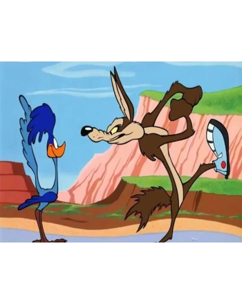 Looney tunes road runner and wile coyote