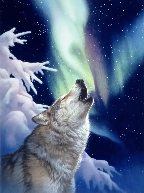 Howling Wolf diamond painting