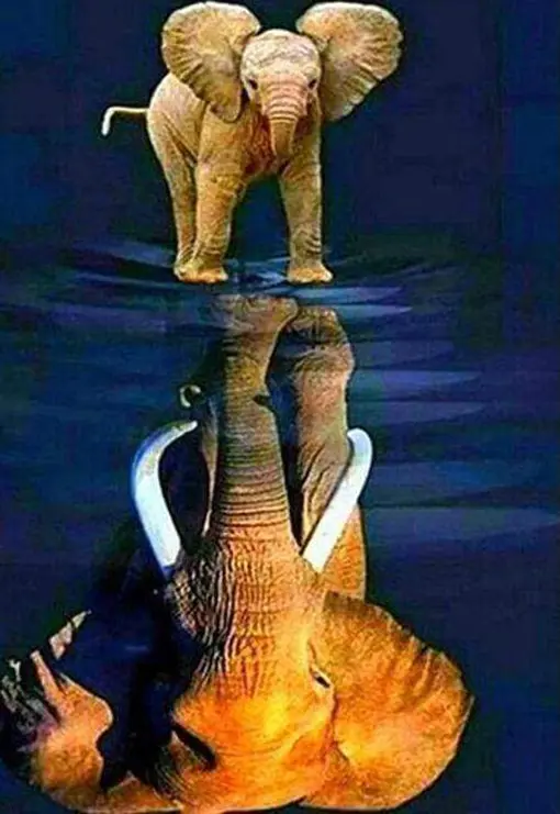 Diamond Painting