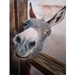 Donkey diamond painting