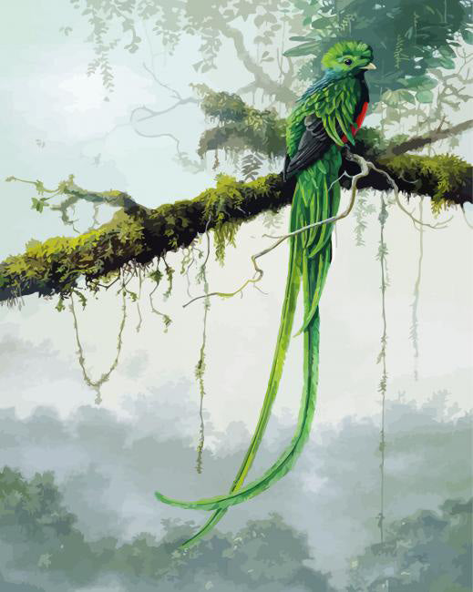 Resplendent quetzal bird art diamond painting