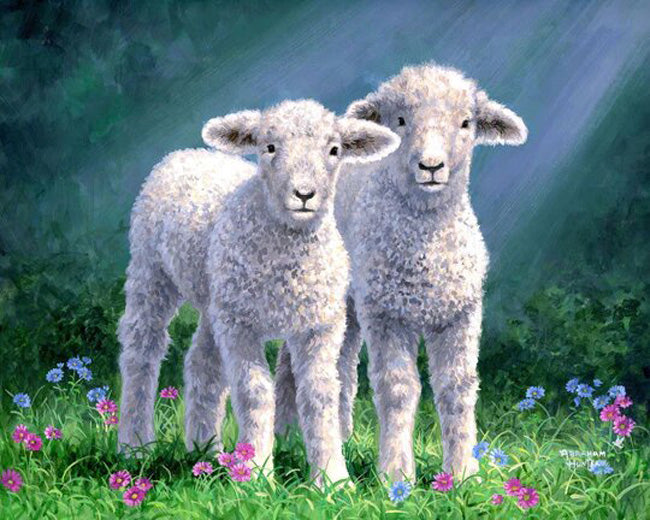 A tale of two sheep diamond painting