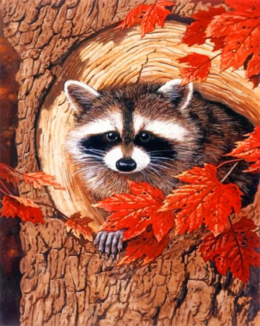 Raccoon in tree hole diamond painting