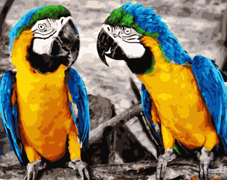 Cute colorful parrots diamond painting