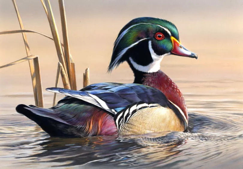 Diamond Painting