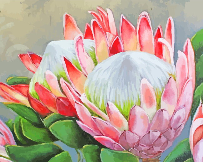 Protea plants diamond painting