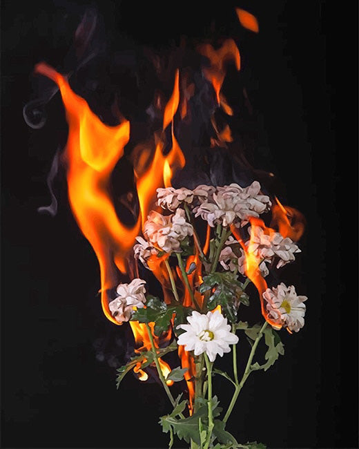 Burning flowers diamond painting
