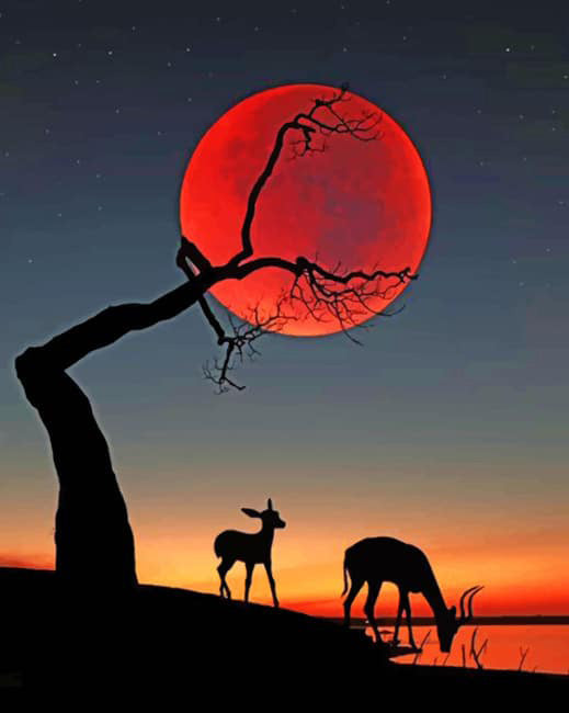 Red moon with deer silhouette diamond painting