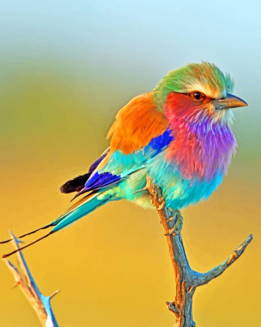 Diamond Painting