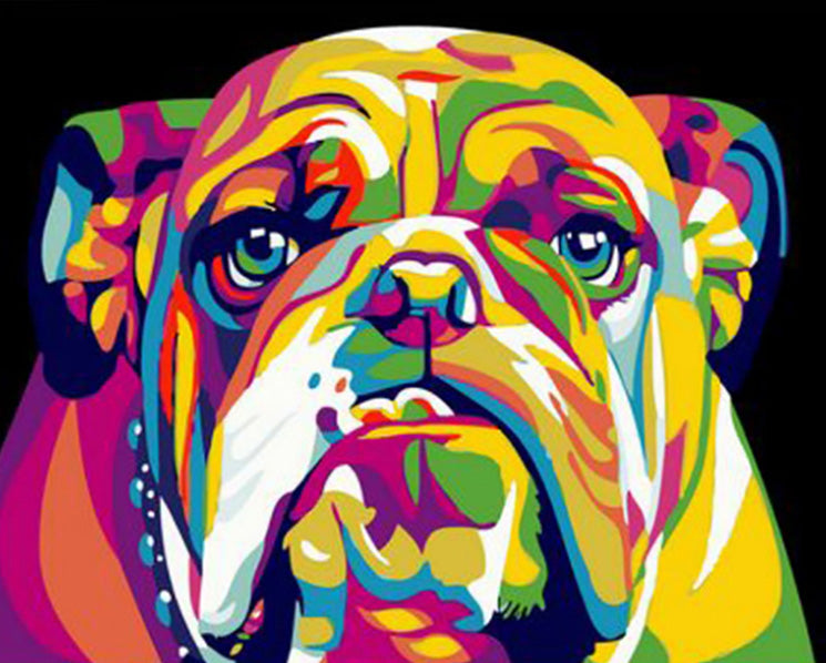 Abstract bulldog diamond painting