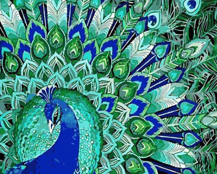 Abstract acrylic peacock feather diamond painting