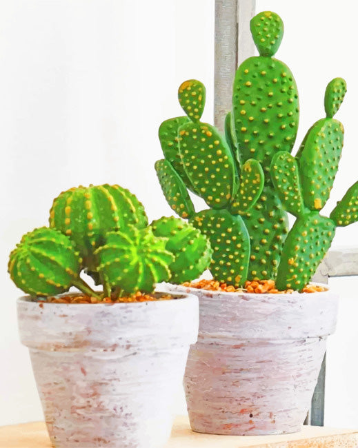 Cactus in pots diamond painting