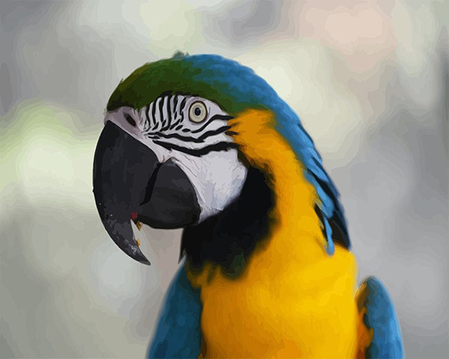 Diamond Painting