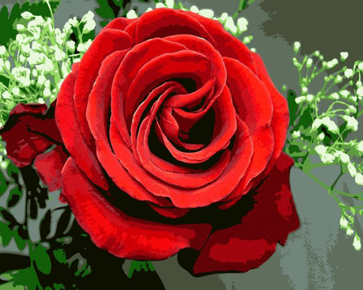 Red Roses Flower diamond painting