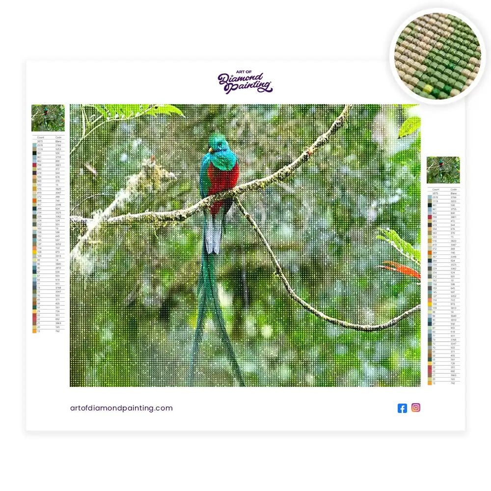 Resplendent quetzal bird diamond painting