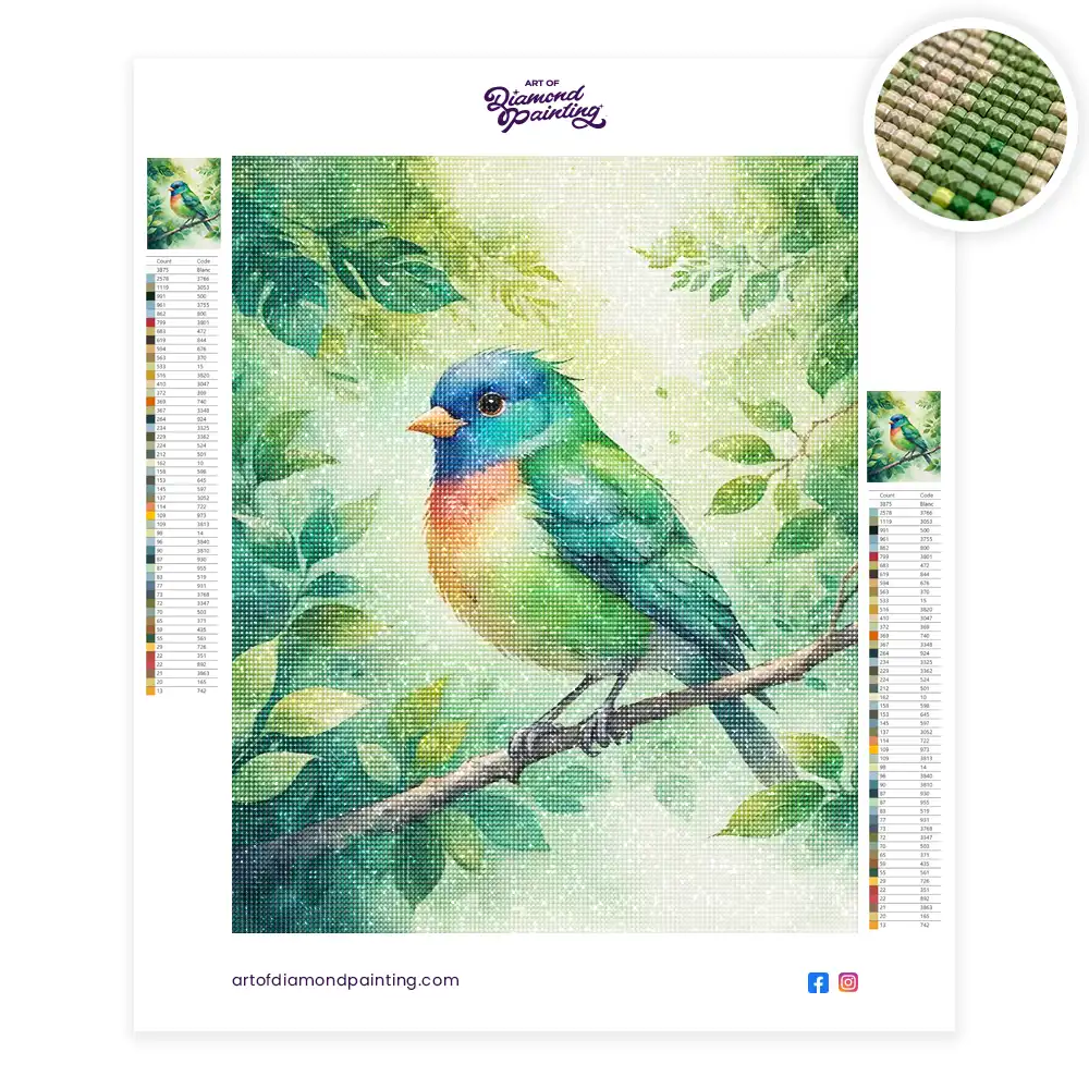 2 Feathers full of color