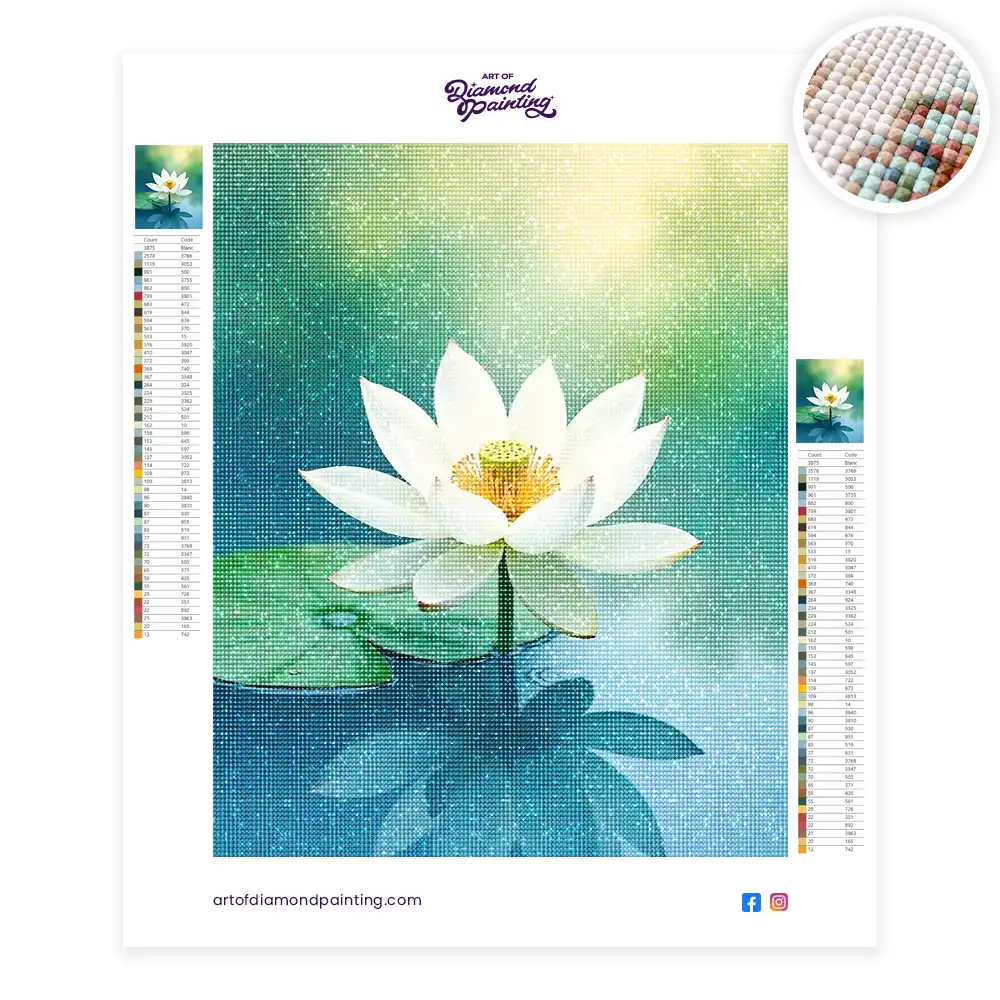 2 White lotus flower