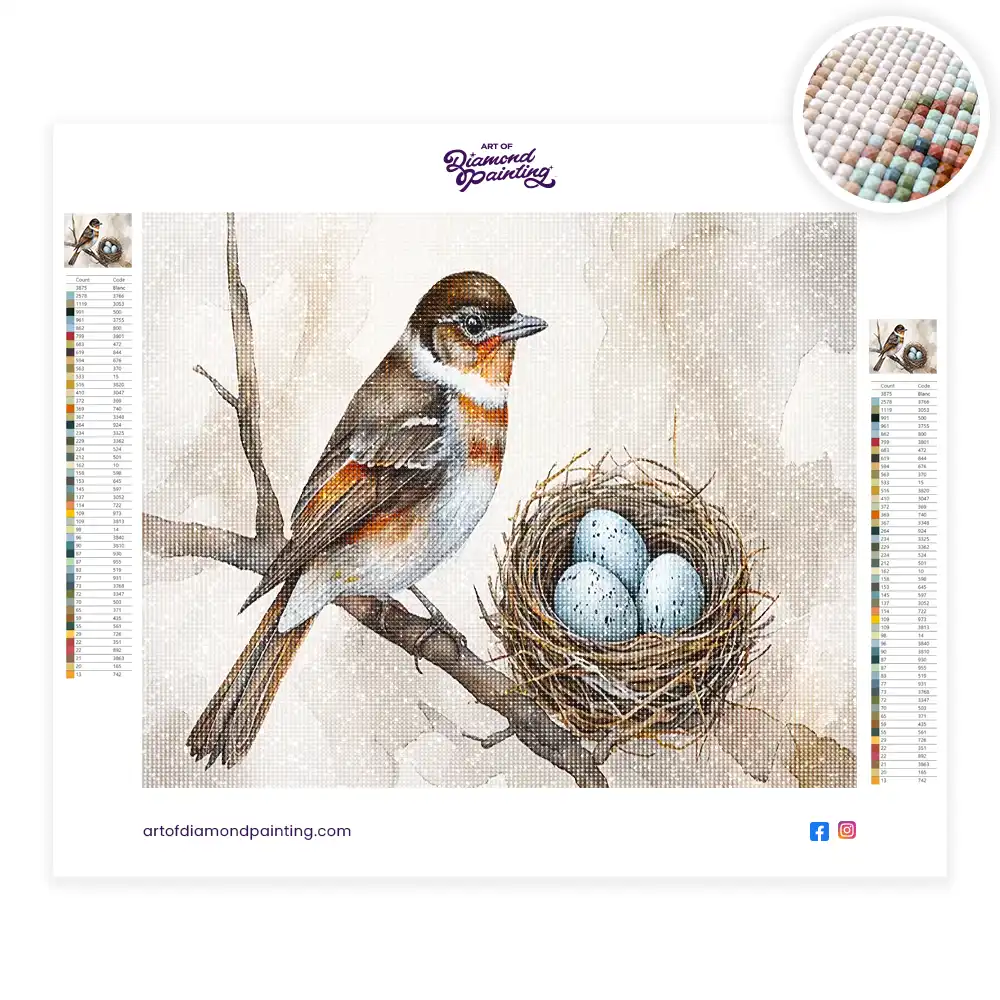 2 Bird nest with blue eggs