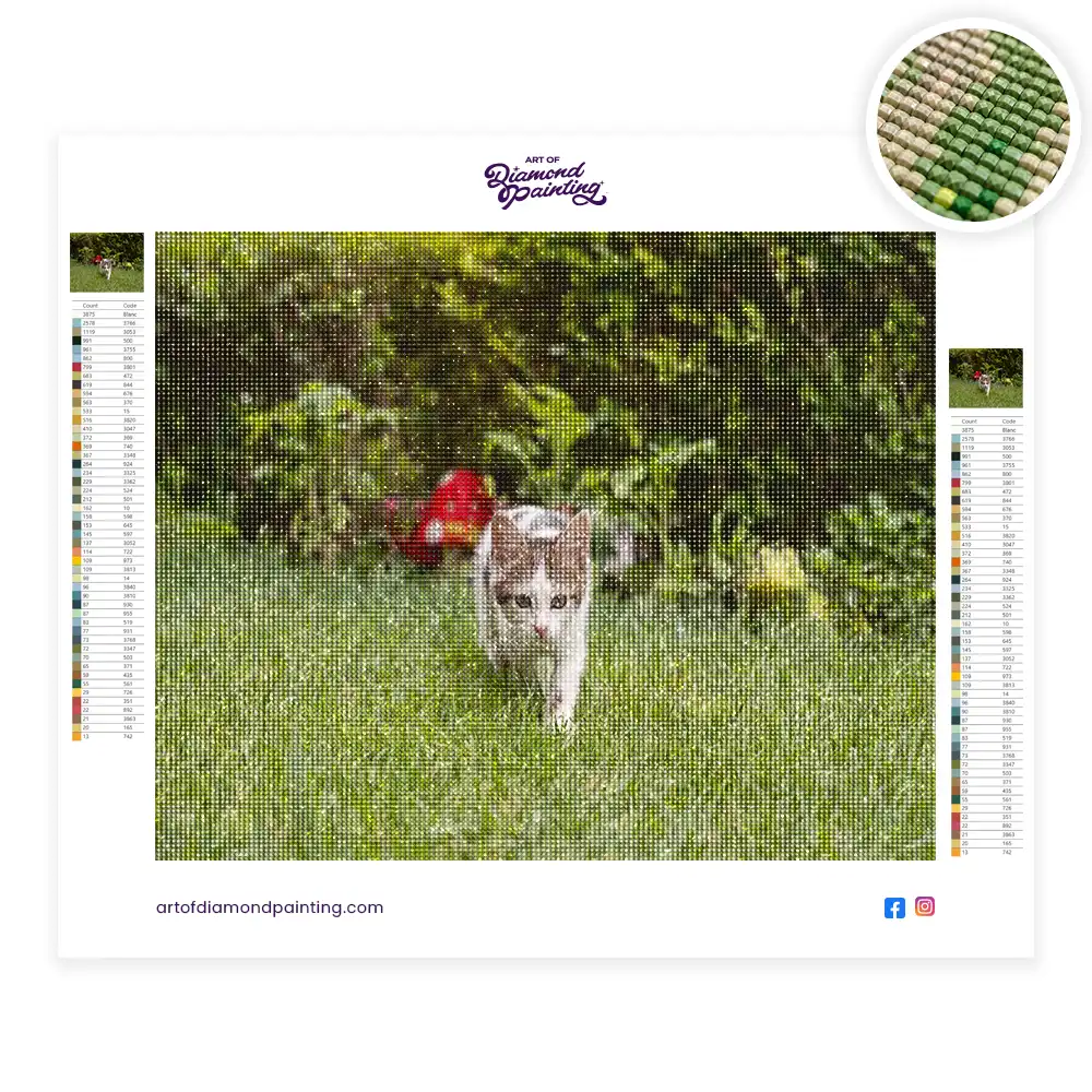 2 Cute cat spending time outdoors