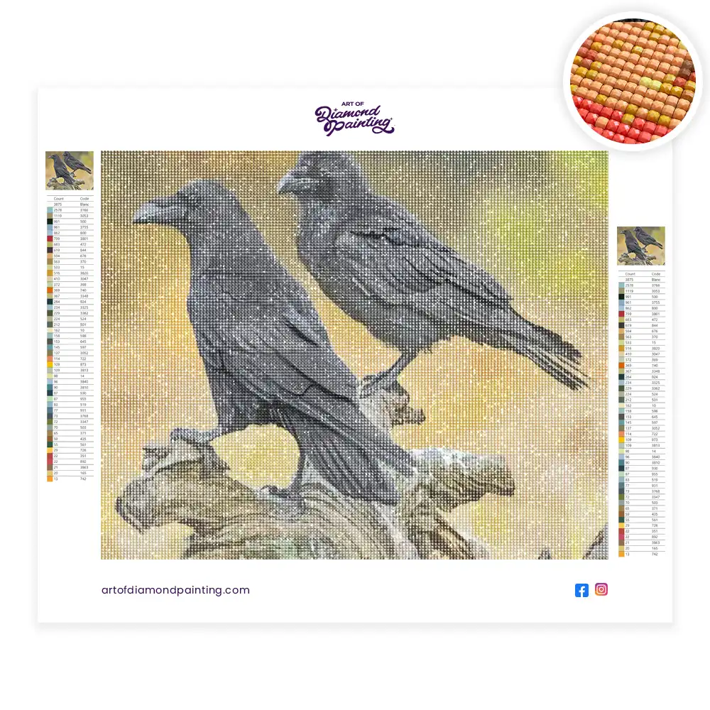 Ravens birds diamond painting