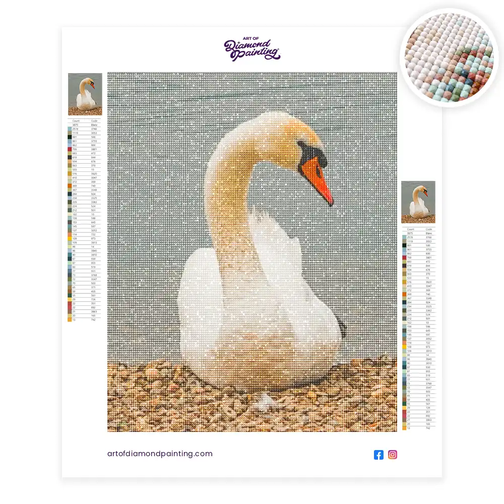 2 Mute swan duck diamond painting