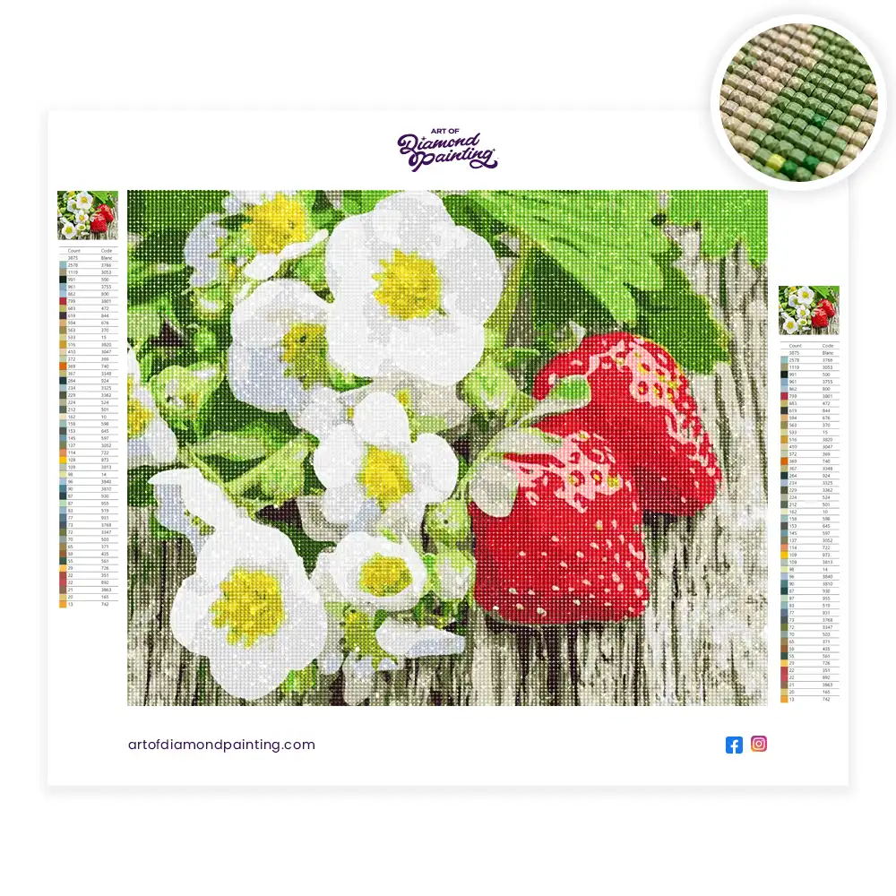 2 Strawberry with White Flowers diamond painting