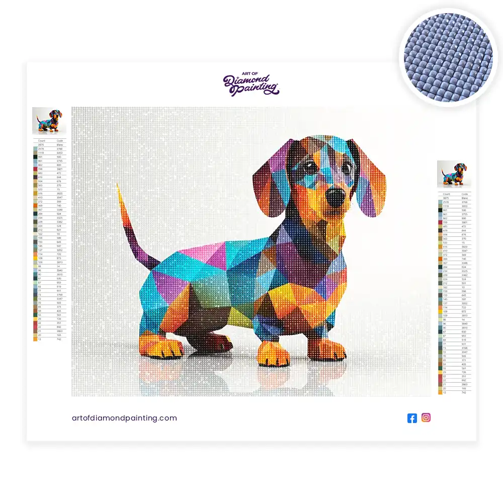 Colored lovely dachshund