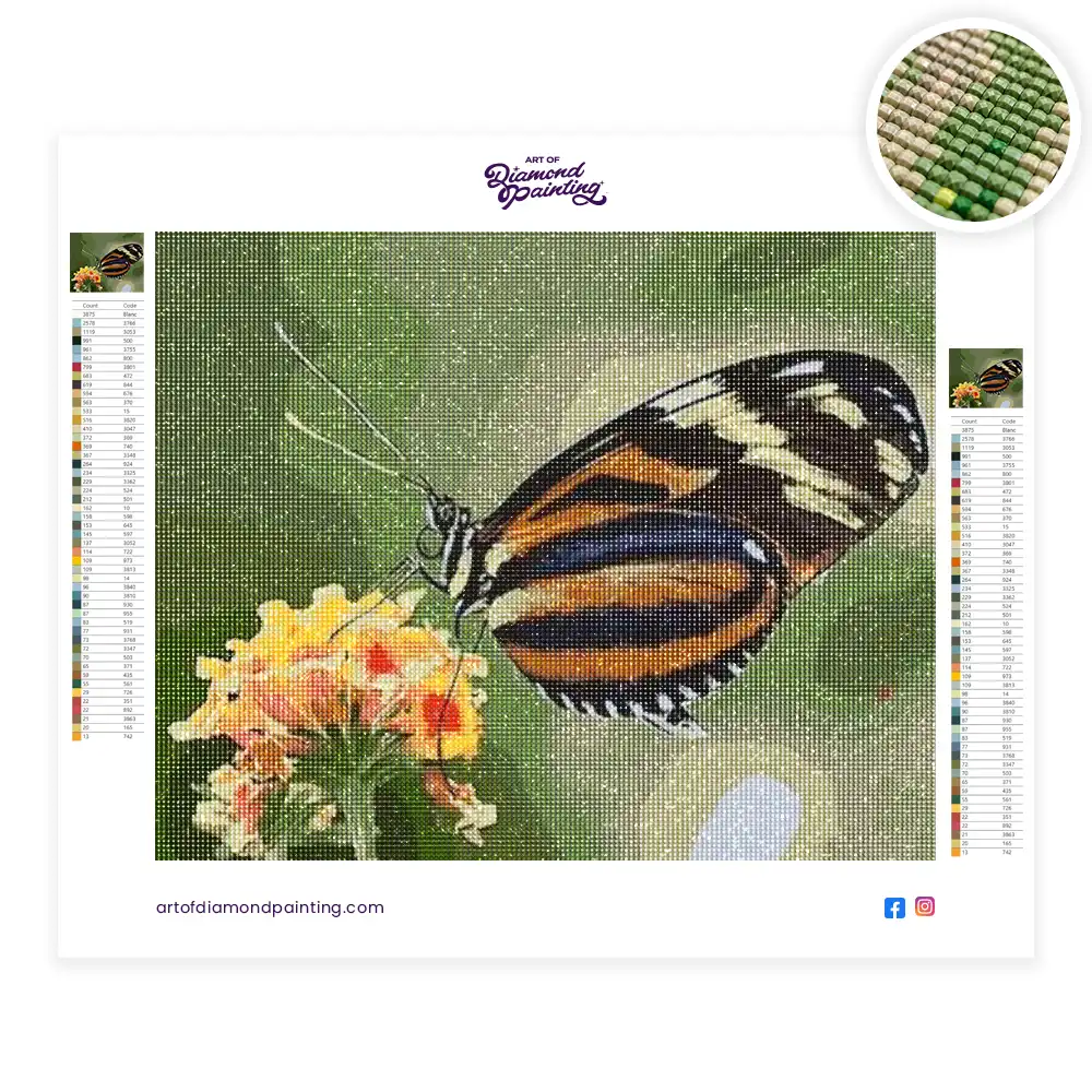 Butterfly on flower diamond painting