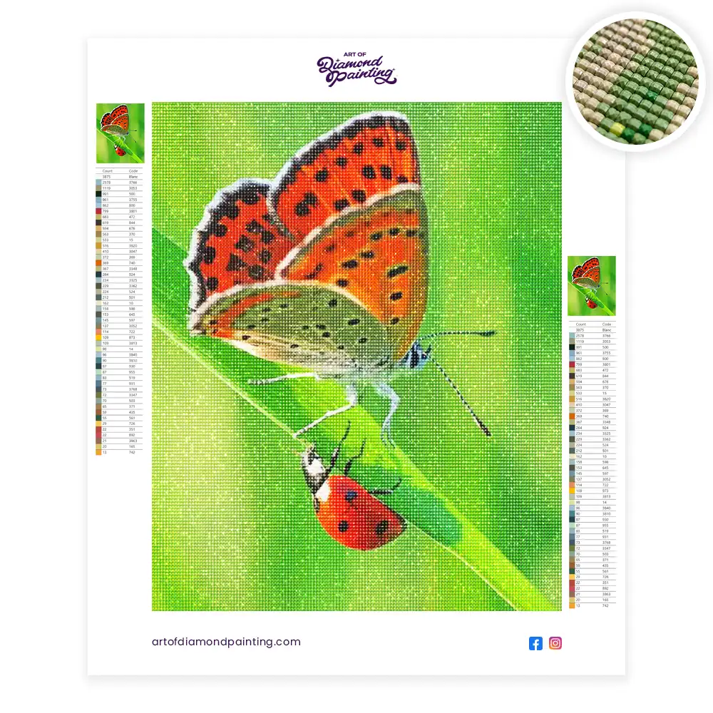 Butterfly and ladybug diamond painting