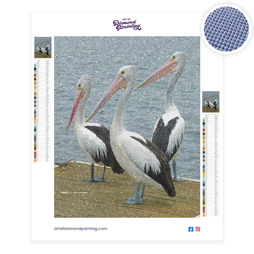 2 Pelican birds diamond painting
