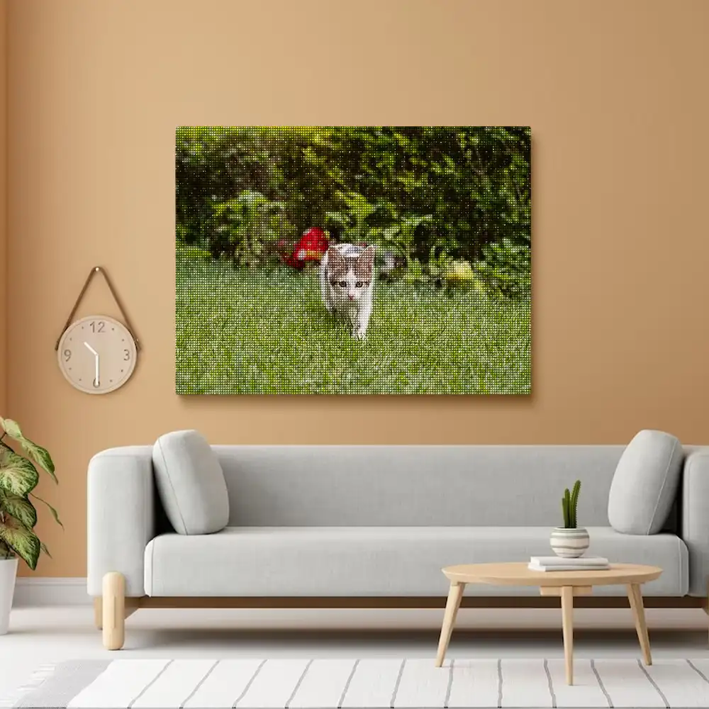 3 Cute cat spending time outdoors