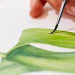 how to paint a leaf
