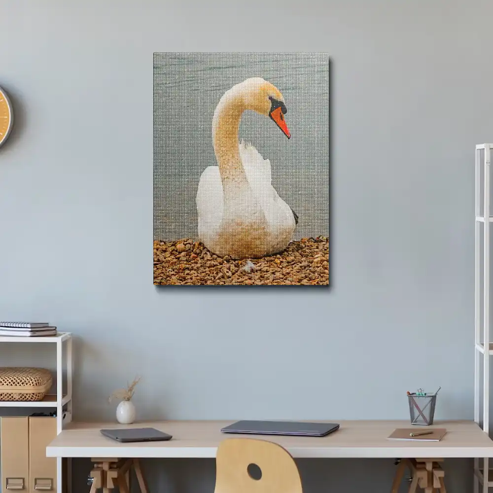 3 Mute swan duck diamond painting