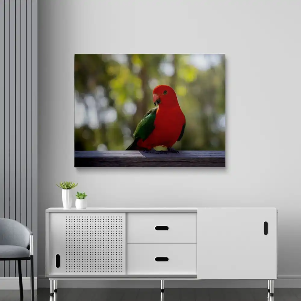 Red Parrot diamond painting