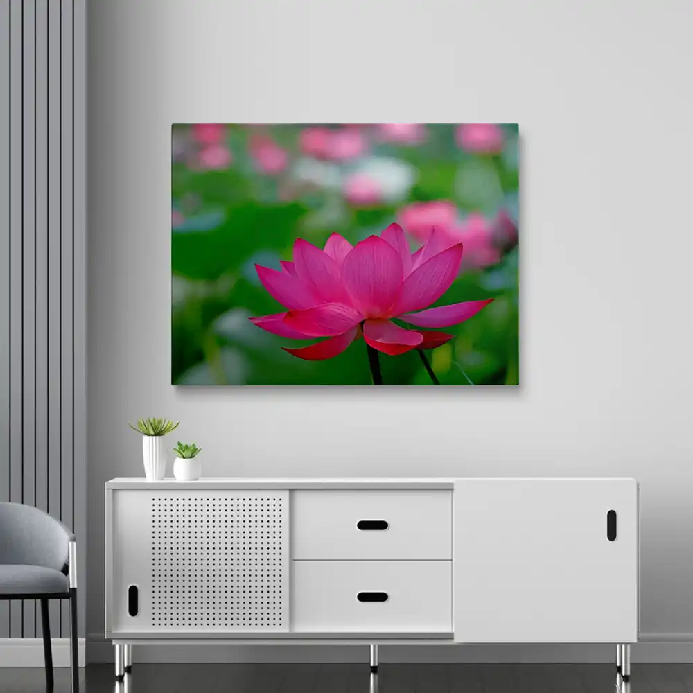 Pinky Lotus Flower Diamond Painting Painting | Diamond Painting Kits