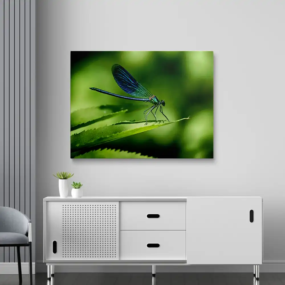 Dragonfly art diamond painting