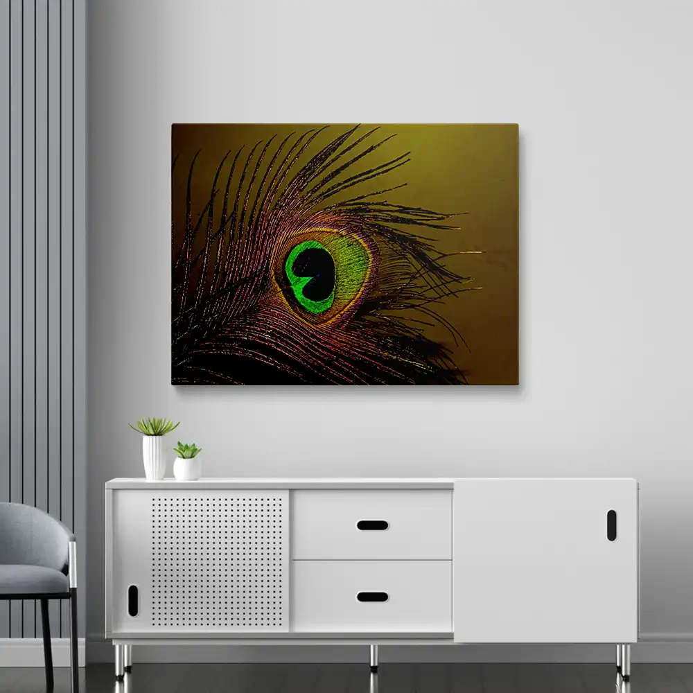 3 Peacock feather diamond painting