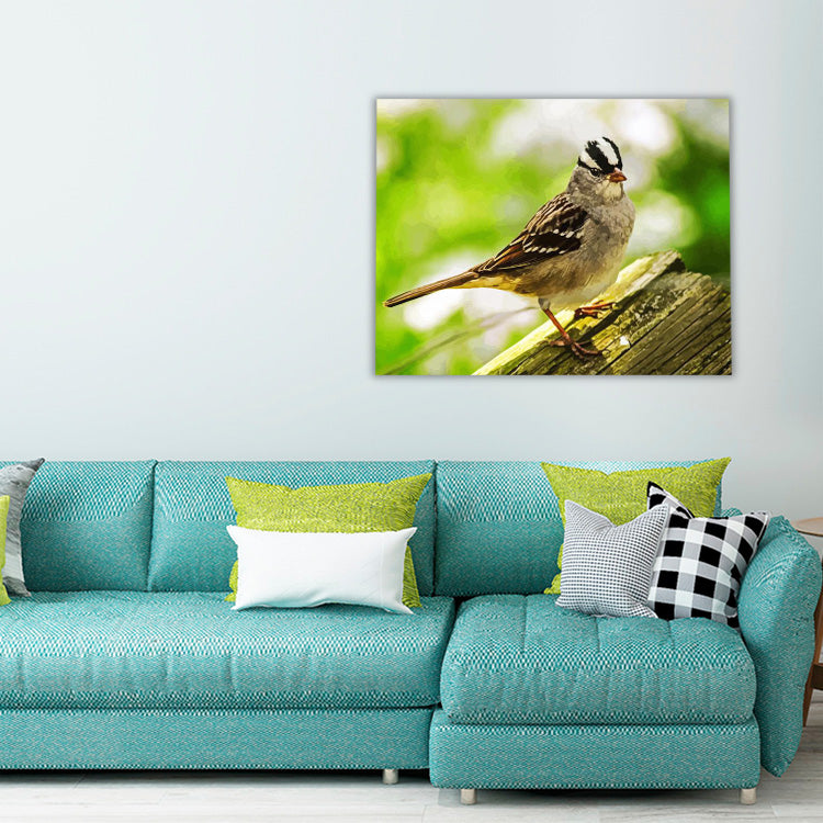 Aesthetic Sparrow Diamond Painting Painting | Diamond Painting Kits