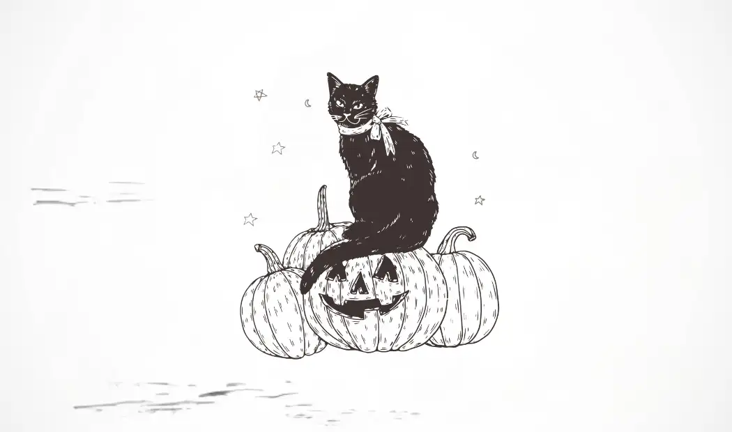 How to Draw a Halloween Cat