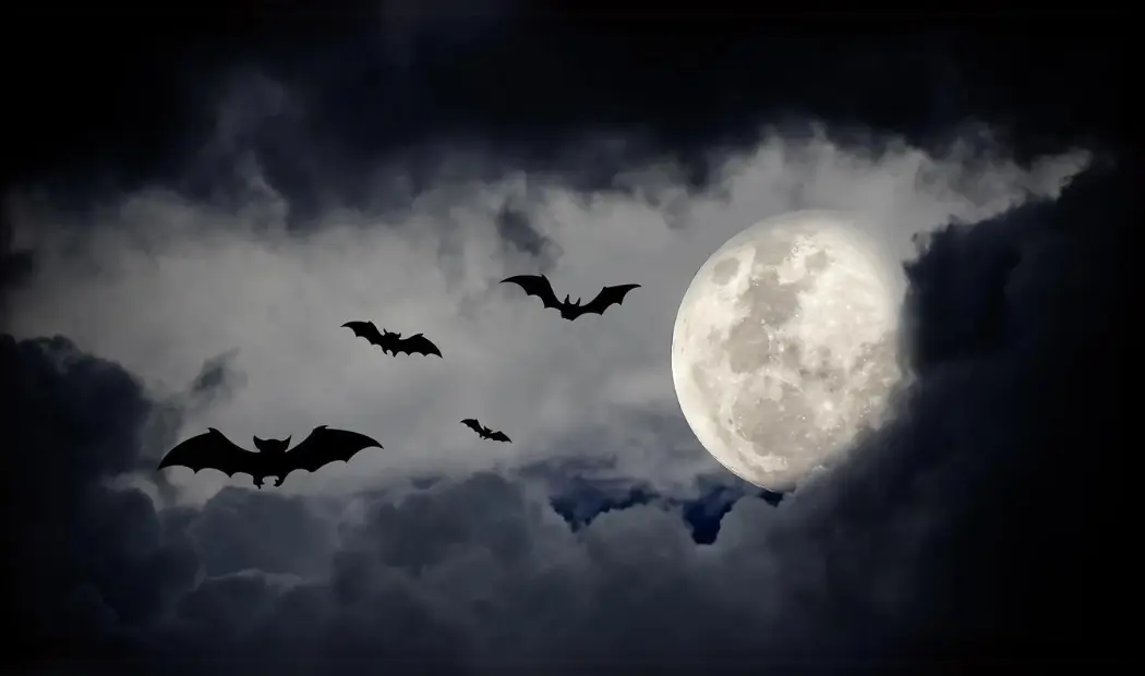 Bat and moon