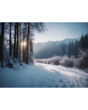 Beautiful winter landscape with snow