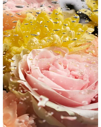 Close up on beautiful blooming flowers