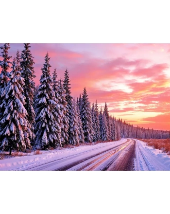 Empty road landscape during the day