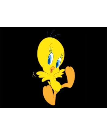 Looney tunes Tweety bird