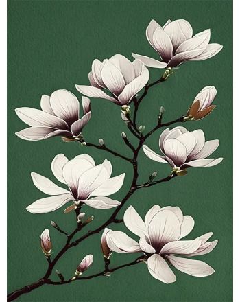 Minimalist Magnolia Flowers