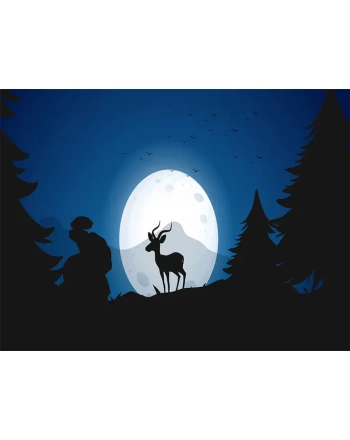 Silhouette Deer at Night Forest
