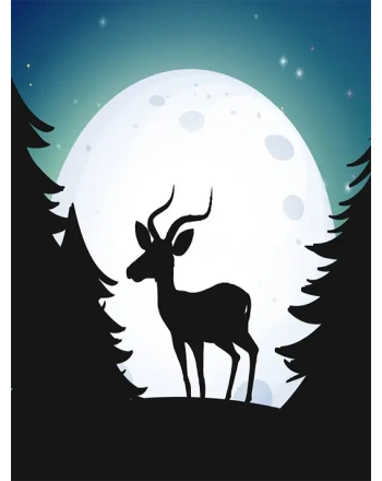 Silhouette Forest and Deer at night