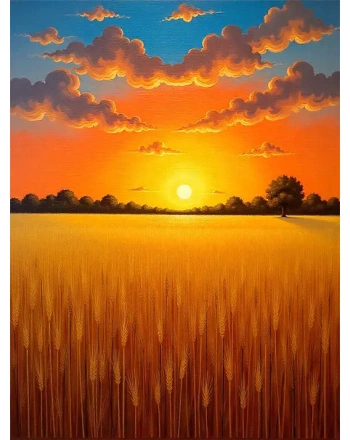 Sunrise over wheat field