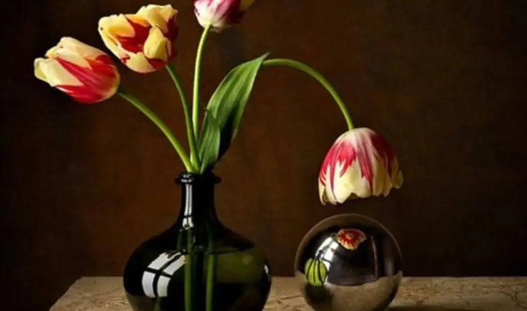 tulip paintings