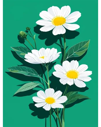 Vibrant White Daisy